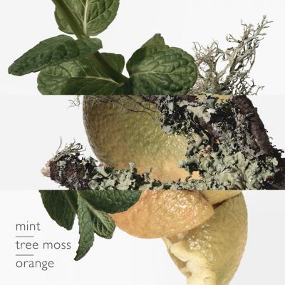 Hermès Eau D'orange Verte Eau De Cologne