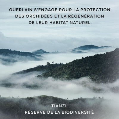Guerlain Orchidée Impériale La Gelée D'Huile
