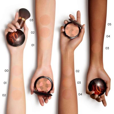 Guerlain Terracotta Light La Poudre éclat Bonne Mine Naturelle