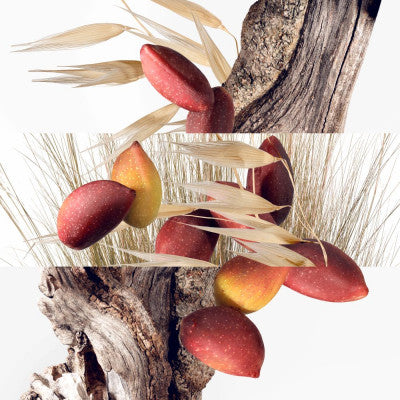 Hermès Un Jardin à Cythère Eau De Toilette